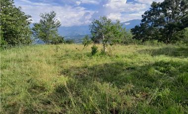 VENTA DE LOTE U/C TAMESIS, SUROESTE ANTIOQUEÑO