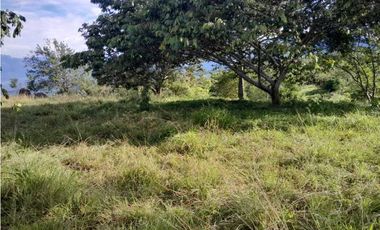 VENTA DE LOTE U/C TAMESIS, SUROESTE ANTIOQUEÑO