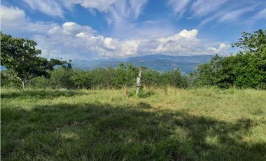 VENTA DE LOTE U/C TAMESIS, SUROESTE ANTIOQUEÑO