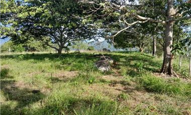 VENTA DE LOTE U/C TAMESIS, SUROESTE ANTIOQUEÑO