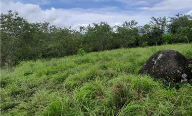 VENTA DE LOTE U/C TAMESIS, SUROESTE ANTIOQUEÑO