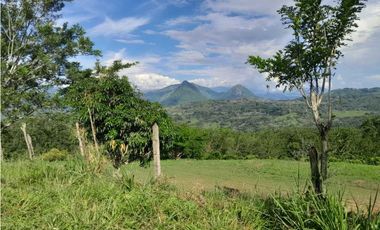 VENTA DE LOTE U/C TAMESIS, SUROESTE ANTIOQUEÑO