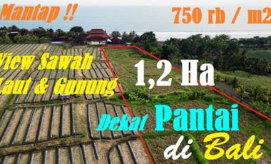 Tanah di Rambutsiwi Tepi Pantai dengan Luas 11,700 m2