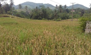 Tanah murah 2660m masuk mobil pinggir jalan desa Cipatat kbb