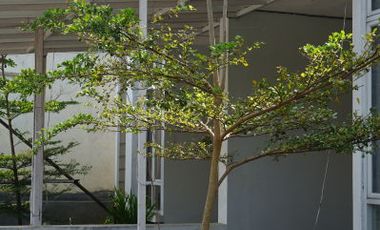 Rumah dijual di Sidomukti, Salatiga