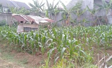 Tanah Padat Siap Bangun Belakang Setra Duta Pasir Kaliki Cimahi Utara
