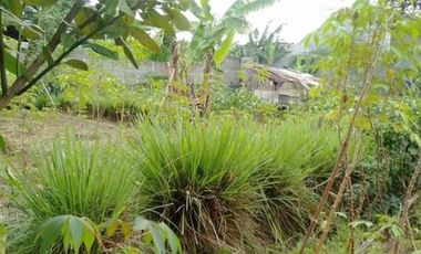 Tanah Padat Siap Bangun Belakang Setra Duta Pasir Kaliki Cimahi Utara