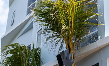 Leasehold - Profitable Turnkey Hostel for Sale in Prime Canggu - 7 Minutes to Batu Bolong Beach, Canggu, Bali