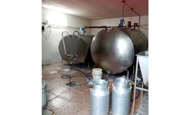 VENDO 170 HECTAREAS LECHERIA BOQUERON