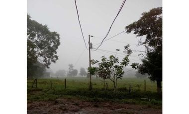 VENDO 170 HECTAREAS LECHERIA BOQUERON