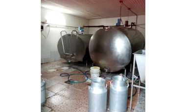 VENDO 170 HECTAREAS LECHERIA BOQUERON