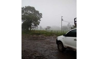 VENDO 170 HECTAREAS LECHERIA BOQUERON