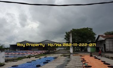 JUAL CEPAT Gudang di Raya Gembong Babat Lamongan 3 Ha Jatim