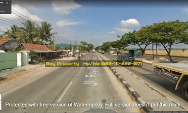 JUAL CEPAT Gudang di Raya Gembong Babat Lamongan 3 Ha Jatim