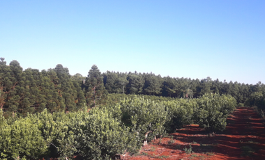 CHACRA 15 ha