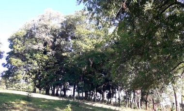 CHACRA 15 ha