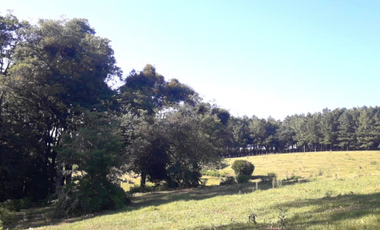 CHACRA 15 ha