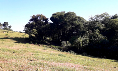 CHACRA 15 ha
