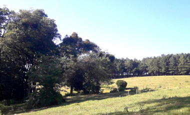 CHACRA 15 ha