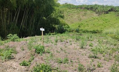 VENTA de LOTES en VALLE DEL CAUCA