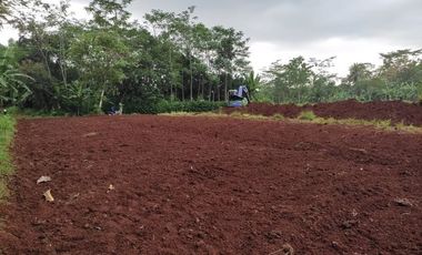 SHM Unit: Kavling Dekat SMPN Bojong Pekalongan, 100 Jt-an