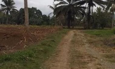 LOT for SALE For with existing House in Diclum Manolo Fortich Bukidnon