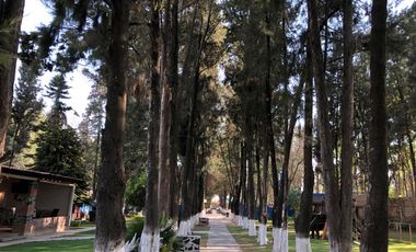 Lotes En Venta En Fracc Zerezotla San Pedro Cholula