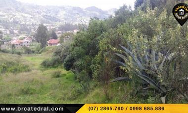 Terreno de venta en Challuabamba - Cofradia – código:15909