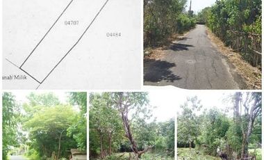 BUC Tanah Posisi Hoek lokasi Pecatu