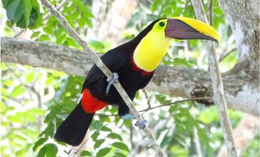 VENTA TERRENO PUEBLO VALLE DE ANTON