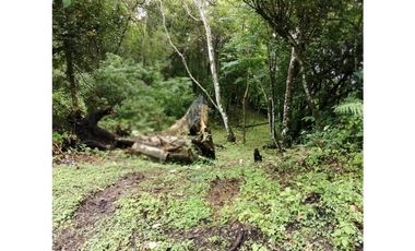 VENTA TERRENO PUEBLO VALLE DE ANTON