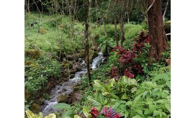 VENTA TERRENO PUEBLO VALLE DE ANTON