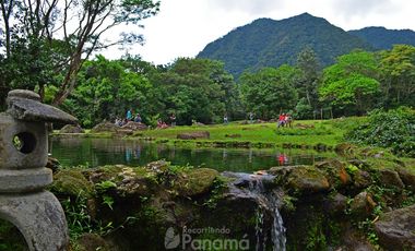 VENTA TERRENO PUEBLO VALLE DE ANTON