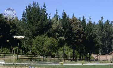 Sitio en Venta en Nonguén