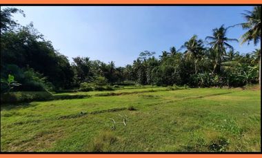 Kavling 150 mtr Jl. Sentolo-Nanggulan 80Jt-an ,Srategis