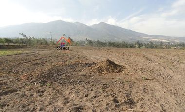 Venta de terreno en Cotacachi sector Quiroga, 5.5 hectáreas