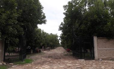 TERRENOS CAMPESTRE EN VENTA EN GOMEZ PALACIO DGO.