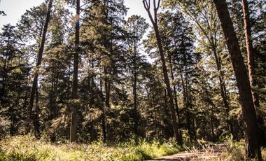TERRENOS CAMPESTRE EN VENTA EN GOMEZ PALACIO DGO.