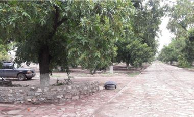 TERRENOS CAMPESTRE EN VENTA EN GOMEZ PALACIO DGO.