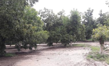TERRENOS CAMPESTRE EN VENTA EN GOMEZ PALACIO DGO.