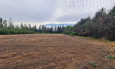 Sitio en Venta en Chicureo Centro