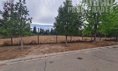 Sitio en Venta en Chicureo Centro