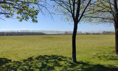 Espectacular campo de polo ó haras en Pilar, Bs.As.