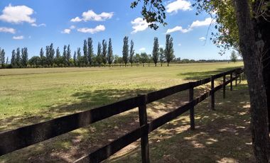 Espectacular campo de polo ó haras en Pilar, Bs.As.