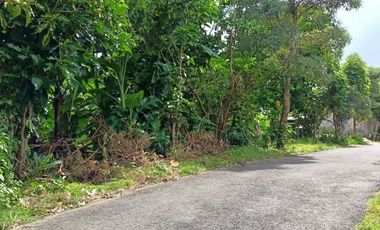 Land for sale on the side of the asphalt road near Beranda Bukit Residence Ungasan Bali