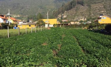 lote en arriendo/venta en vereda la moya. Cod A2100