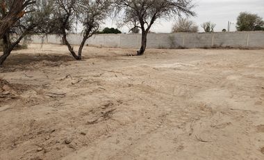 TERRENO EN VENTA EN BLVD JABONOSO GOMEZ PALACIO