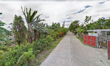 Farm Lot for Sale with fruit-bearing trees in Mataas na Kahoy, Batangas