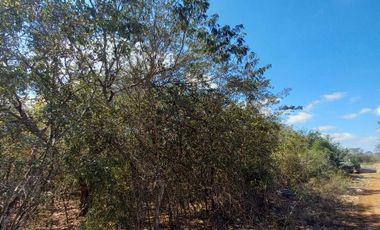 Terreno de 1.20 ha ubicado en la Hacienda de Hunxectaman, Umán, Yuc.