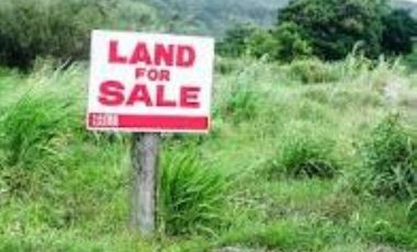3 Ha Commercial Lot in Mabuhay, Carmona for Sale